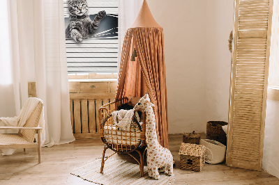 Fensterrollo für Katze