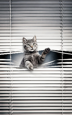 Fensterrollo für Katze