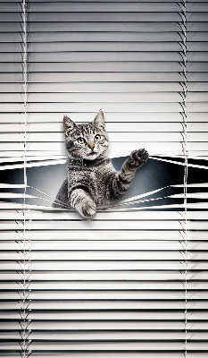 Fensterrollo für Katze