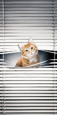 Fensterrollo innen für den Innenbereich