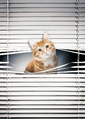 Fensterrollo innen für den Innenbereich