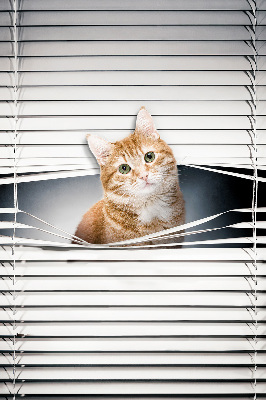 Fensterrollo innen für den Innenbereich
