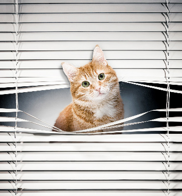 Fensterrollo innen für den Innenbereich