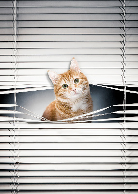 Fensterrollo innen für den Innenbereich