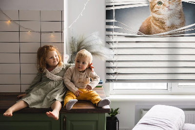 Fensterrollo innen für den Innenbereich