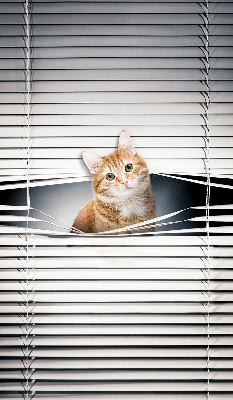 Fensterrollo innen für den Innenbereich