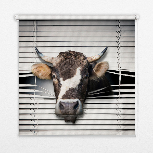 Rollo Fenster Kuh