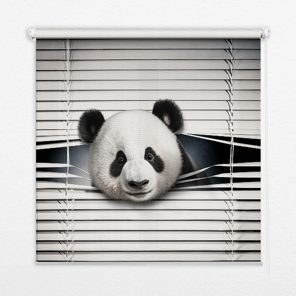 Fensterrollo panda