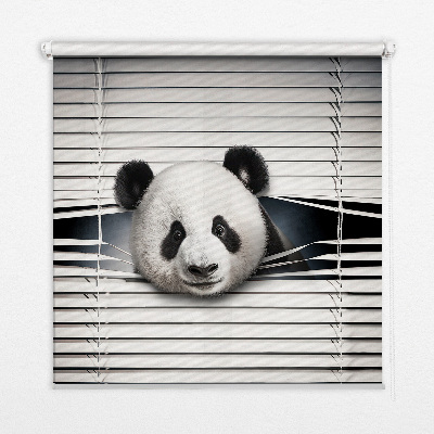Fensterrollo panda