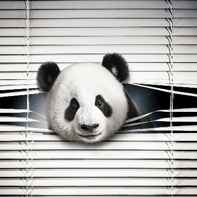 Fensterrollo panda