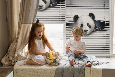 Fensterrollo panda