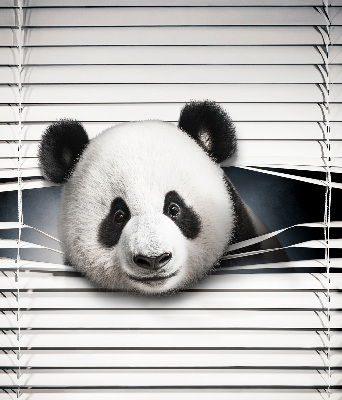 Fensterrollo panda