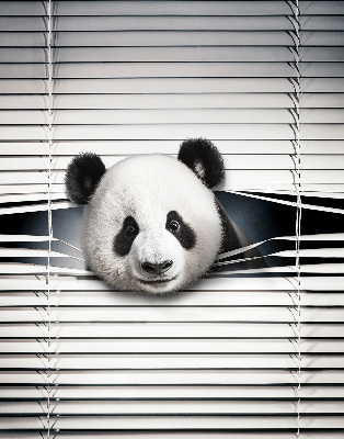 Fensterrollo panda