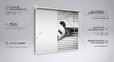 Fensterrollo panda