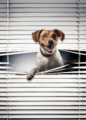 Fensterrollo für den Innenbereich