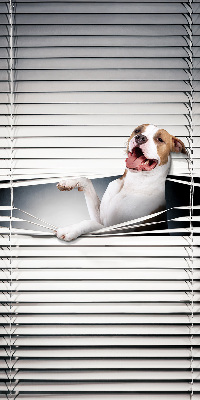 Rollo Fenster Hund