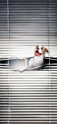 Rollo Fenster Hund