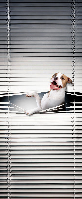 Rollo Fenster Hund