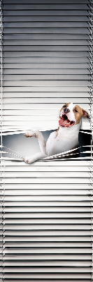 Rollo Fenster Hund