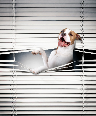 Rollo Fenster Hund