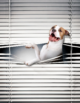 Rollo Fenster Hund