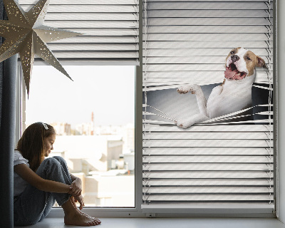 Rollo Fenster Hund
