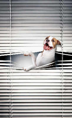Rollo Fenster Hund