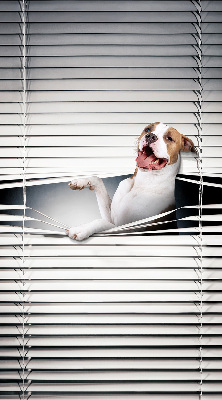 Rollo Fenster Hund