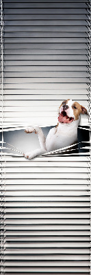 Rollo Fenster Hund