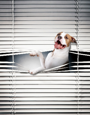 Rollo Fenster Hund