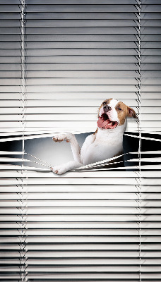 Rollo Fenster Hund