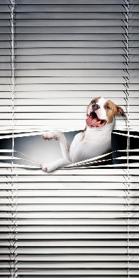 Rollo Fenster Hund