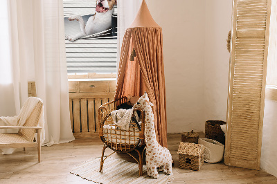 Rollo Fenster Hund