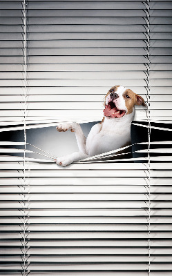 Rollo Fenster Hund