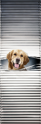 Fensterrollo in Gold