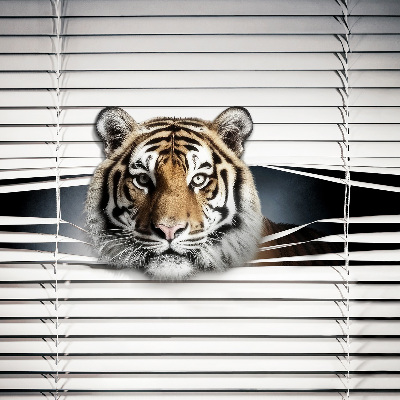 Fensterrollo innen tiger