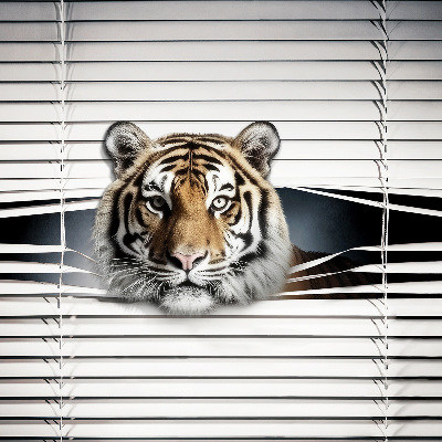Fensterrollo innen tiger
