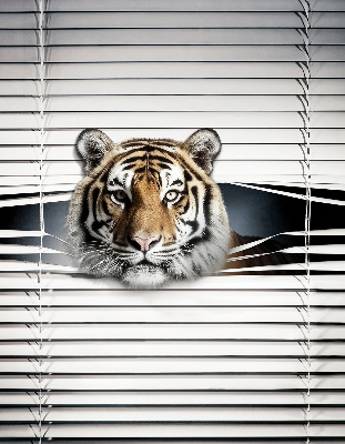 Fensterrollo innen tiger