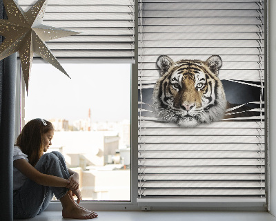 Fensterrollo innen tiger