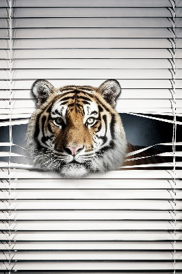 Fensterrollo innen tiger