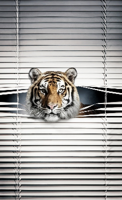 Fensterrollo innen tiger