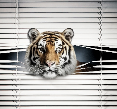 Fensterrollo innen tiger