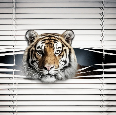 Fensterrollo innen tiger