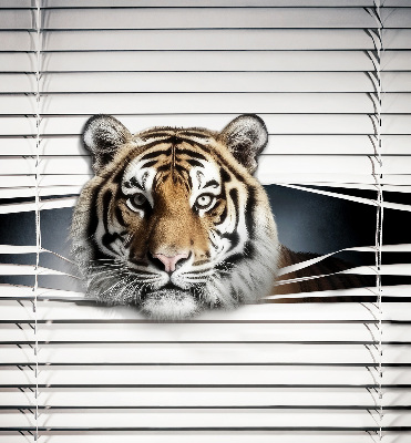 Fensterrollo innen tiger