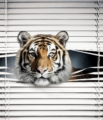 Fensterrollo innen tiger