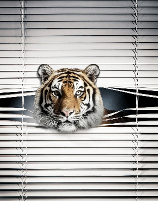 Fensterrollo innen tiger