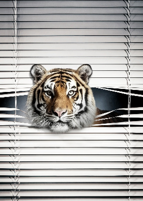 Fensterrollo innen tiger