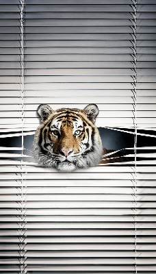Fensterrollo innen tiger
