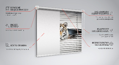 Fensterrollo innen tiger