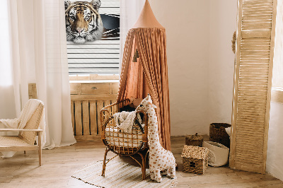 Fensterrollo innen tiger